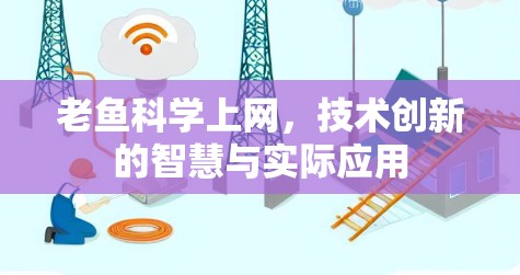 老鱼科学上网，技术创新的智慧与实际应用