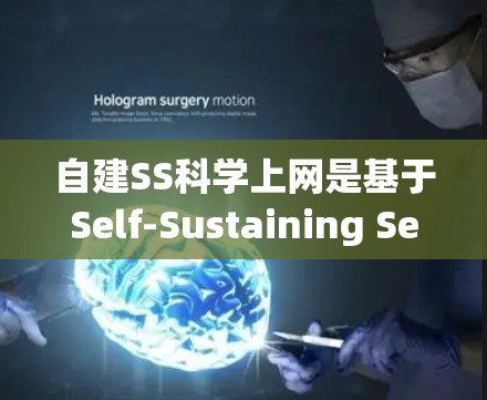 自建SS科学上网是基于Self-Sustaining Service Platform（SSP）的网络服务架构，旨在提供一种自服务、自管理的网络连接方式。以下是对该概念的详细解析