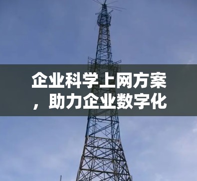 企业科学上网方案，助力企业数字化转型