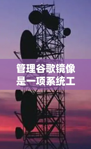 管理谷歌镜像是一项系统工程，涉及多个步骤和工具。以下是一个结构化的指南，帮助您逐步进行管理