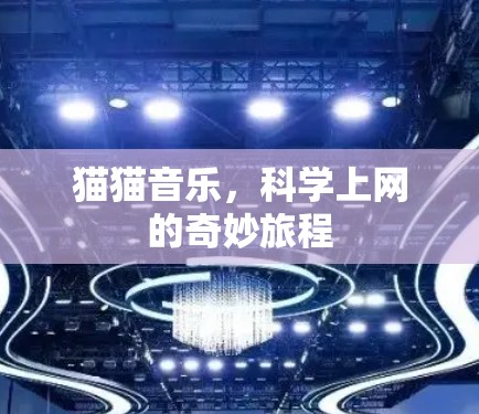 猫猫音乐,科学上网的奇妙旅程