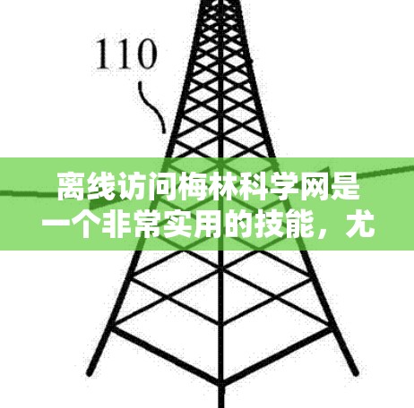 离线访问梅林科学网是一个非常实用的技能，尤其适合需要稳定性和可靠性的用户。以下是一个详细且有条理的步骤指南