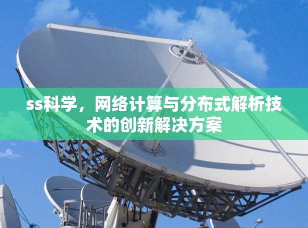 ss科学,网络计算与分布式解析技术的创新解决方案