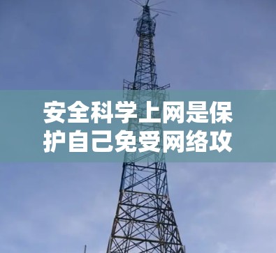 安全科学上网是保护自己免受网络攻击和数据泄露的重要步骤。以下是一些科学和安全的方法和建议，帮助你选择和使用网络服务