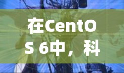 在CentOS 6中,科学上网指用于科学计算和工程的工具,如ltsa和tcpl,通过其包管理器安装和管理。以下是详细的步骤和信息
