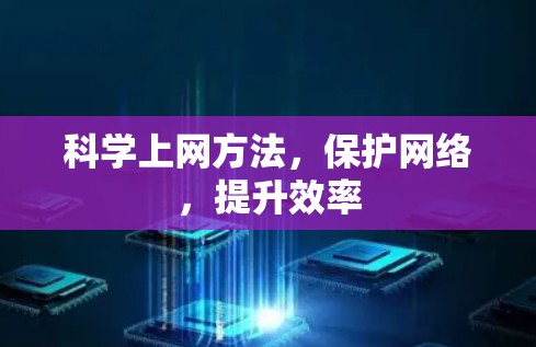 科学上网方法,保护网络,提升效率