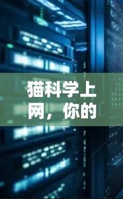 猫科学上网，你的隐私之光