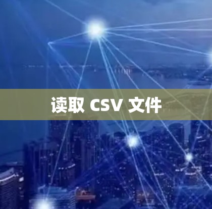 读取 CSV 文件