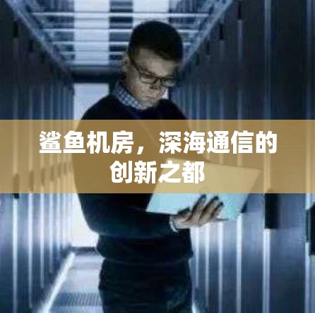 鲨鱼机房,深海通信的创新之都