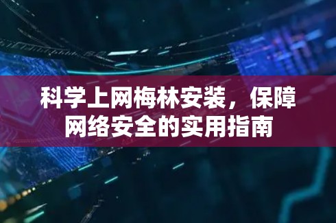 科学上网梅林安装,保障网络安全的实用指南