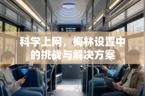 科学上网,梅林设置中的挑战与解决方案