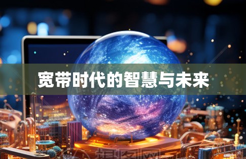 宽带时代的智慧与未来
