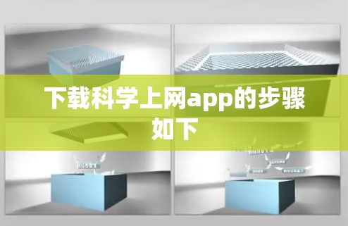 下载科学上网app的步骤如下