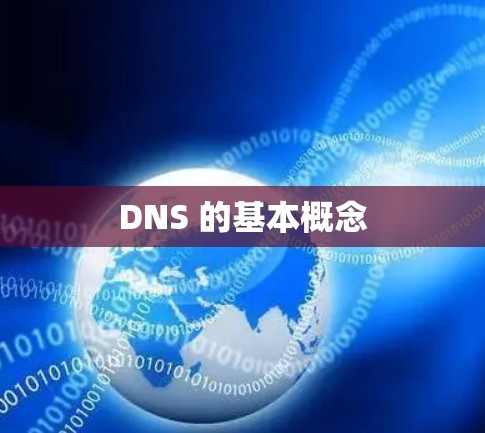 DNS 的基本概念