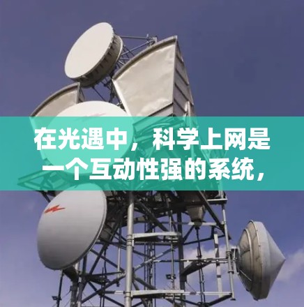 在光遇中，科学上网是一个互动性强的系统，玩家通过科学知识获取资源、进行游戏活动。以下是关于科学上网的详细说明