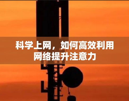 科学上网,如何高效利用网络提升注意力