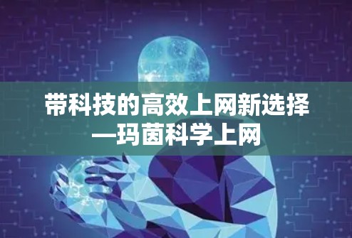带科技的高效上网新选择—玛茵科学上网