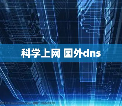 科学上网 国外dns