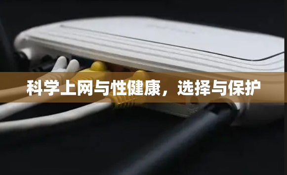 科学上网与性健康,选择与保护