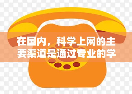 在国内，科学上网的主要渠道是通过专业的学术网站、专业期刊、科学平台以及专业的学术机构来获取科学信息和知识。以下是一些主要的科学上网渠道和平台