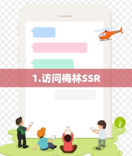 1.访问梅林SSR