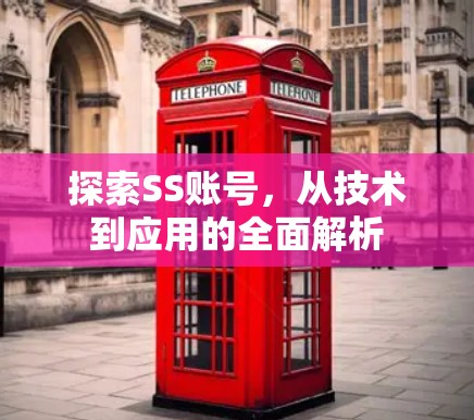 探索SS账号,从技术到应用的全面解析