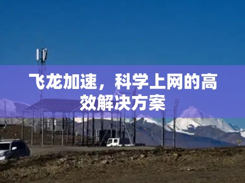 飞龙加速,科学上网的高效解决方案