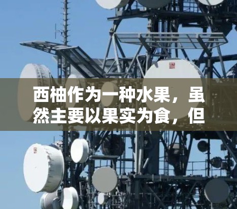 西柚作为一种水果,虽然主要以果实为食,但在科学研究和营养学方面也有其独特的特性。以下是一些可能与西柚科学上网相关的科学特性或应用