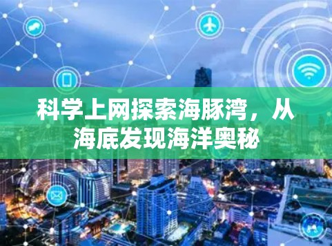 科学上网探索海豚湾，从海底发现海洋奥秘