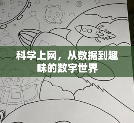 科学上网,从数据到趣味的数字世界