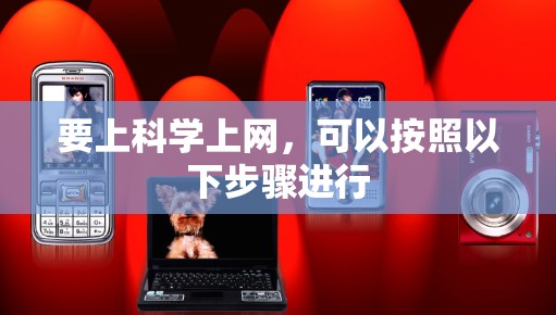 要上科学上网,可以按照以下步骤进行 要上科学上网,可以按照以下步骤进行