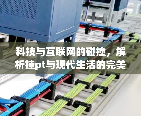 科技与互联网的碰撞，解析挂pt与现代生活的完美结合
