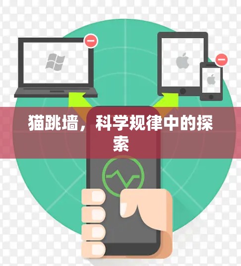 猫跳墙,科学规律中的探索