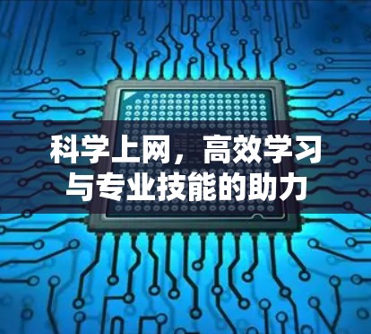 科学上网,高效学习与专业技能的助力