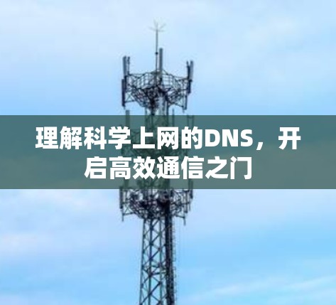 理解科学上网的DNS,开启高效通信之门