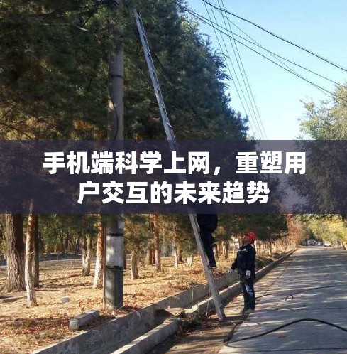 手机端科学上网,重塑用户交互的未来趋势