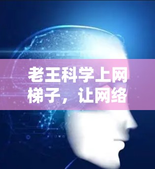 老王科学上网梯子,让网络更高效,更便捷