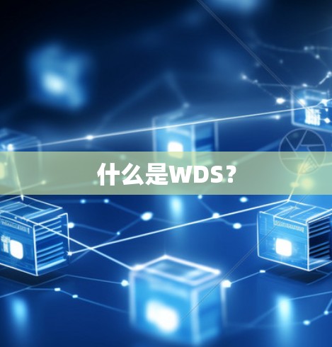 什么是WDS?