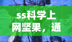 ss科学上网坚果,通信工程师的智慧之光