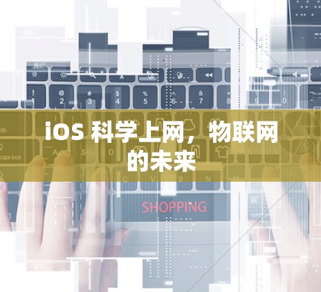iOS 科学上网,物联网的未来