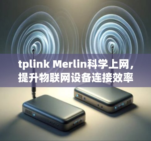 tplink Merlin科学上网,提升物联网设备连接效率的解决方案