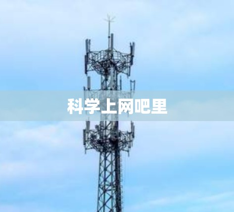 科学上网吧里