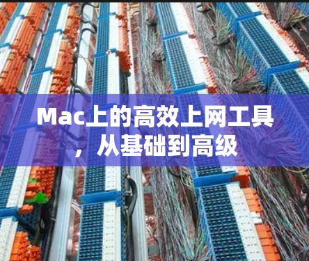 Mac上的高效上网工具,从基础到高级