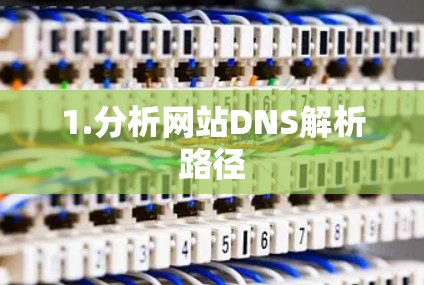 1.分析网站DNS解析路径