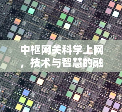 中枢网关科学上网，技术与智慧的融合