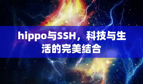 hippo与SSH，科技与生活的完美结合