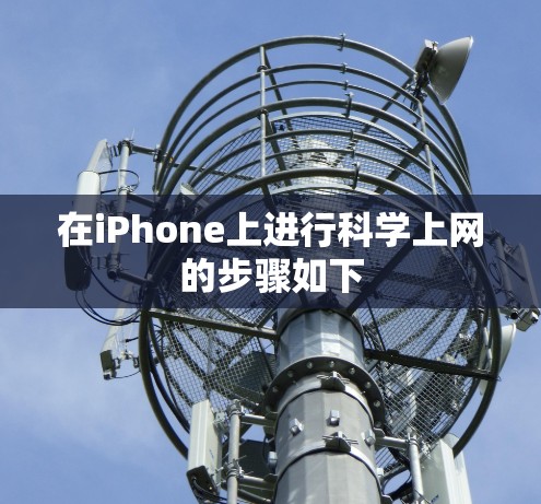 在iPhone上进行科学上网的步骤如下