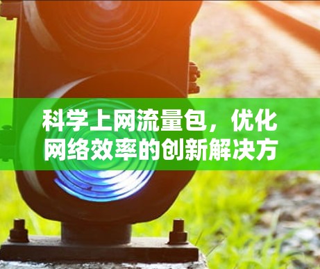 科学上网流量包，优化网络效率的创新解决方案