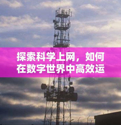 探索科学上网，如何在数字世界中高效运转