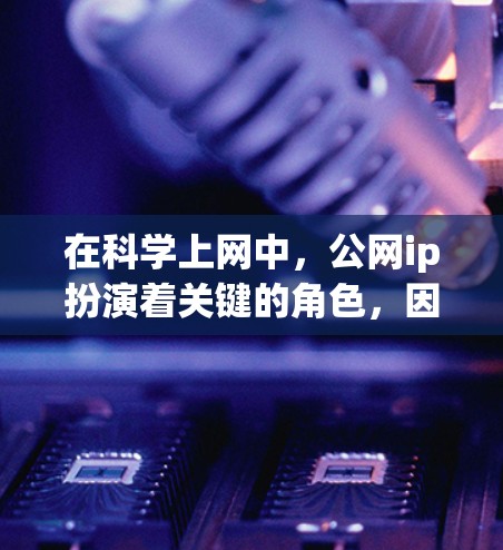 在科学上网中，公网ip扮演着关键的角色，因为它允许访问外部网络上的服务器和节点。以下是关于公网ip的详细指南